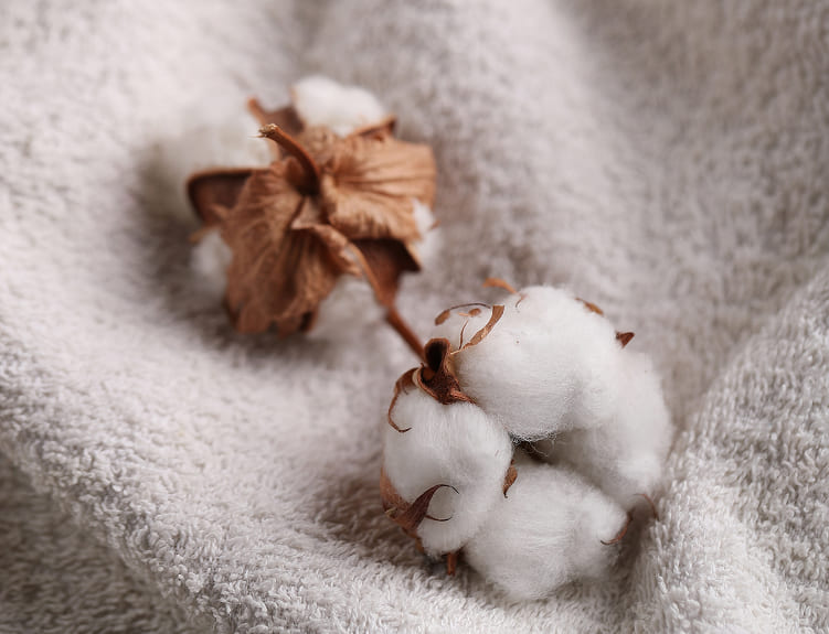 Innovaciones en tejidos y texturas avdelaura